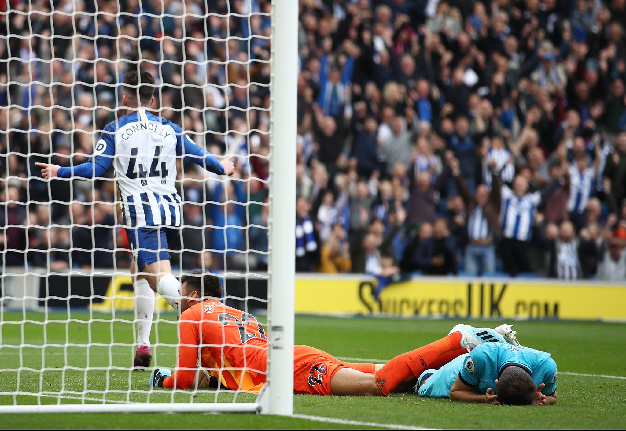 显著提高了 显著提高了